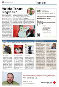 Luzerner Rundschau «Column: Welche Tonart singst du?» (Newspaper, 22 April 2016, Switzerland)